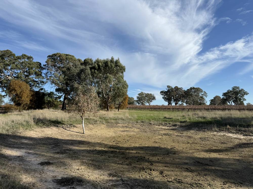 Lot 104 Dergholm Road, Penola, SA 5277