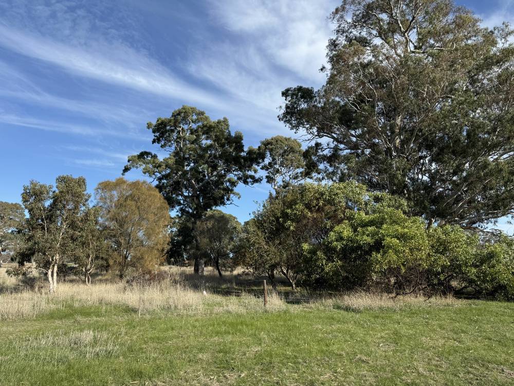 Lot 104 Dergholm Road, Penola, SA 5277