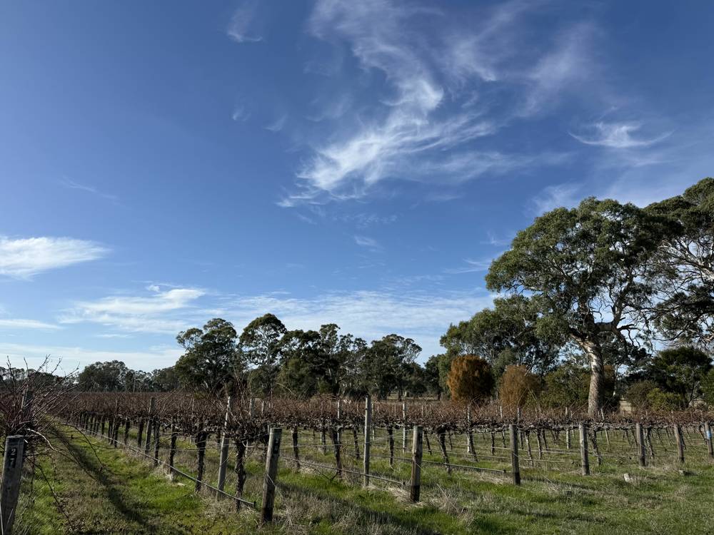 Lot 104 Dergholm Road, Penola, SA 5277