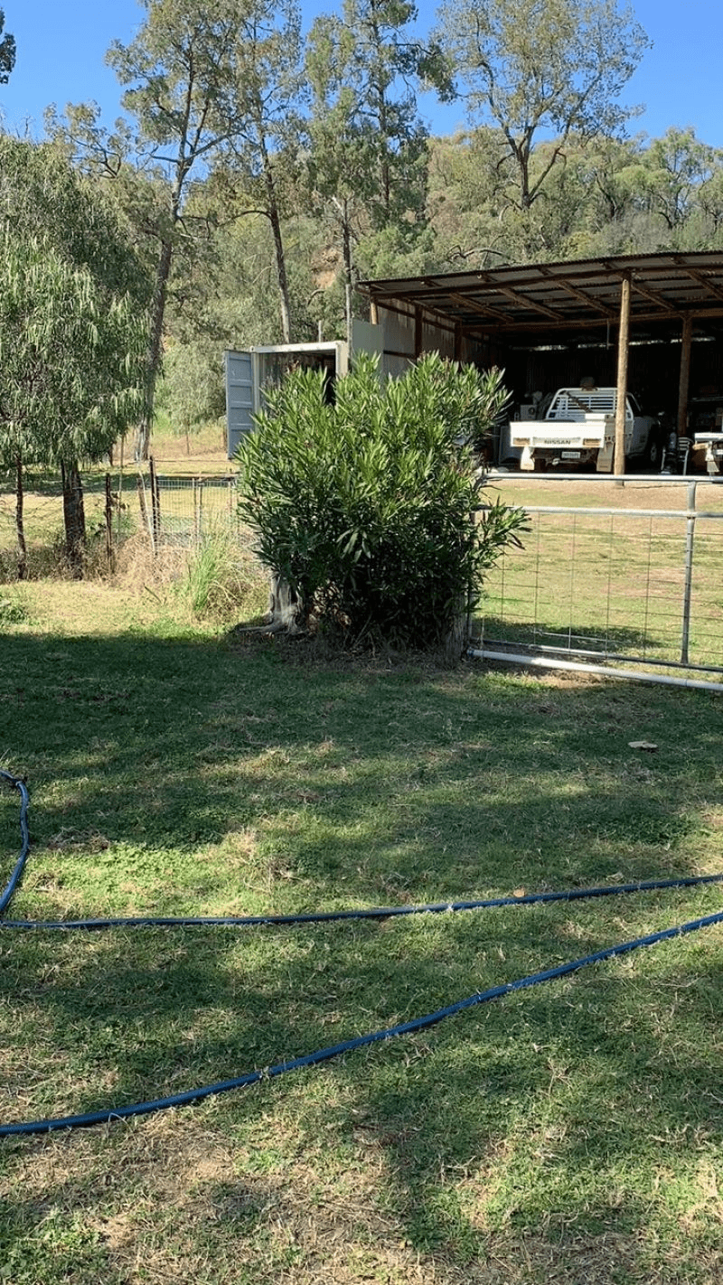 532 Thunderbolts Road, Boggabri, NSW 2382