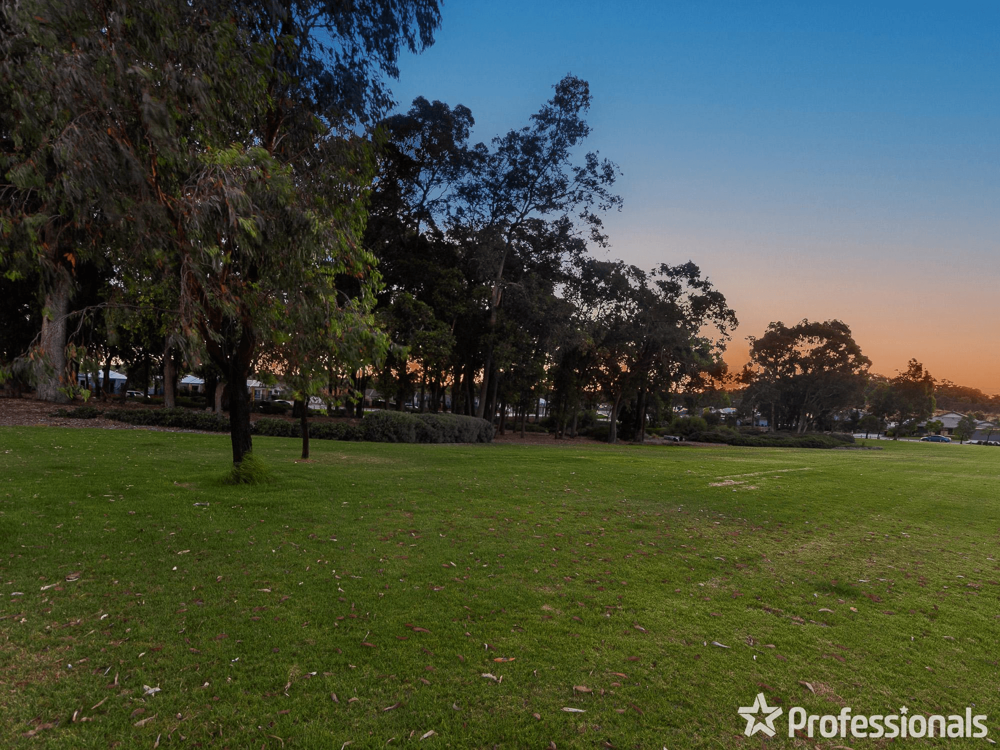 38 Firebrand Grove, BALDIVIS, WA 6171