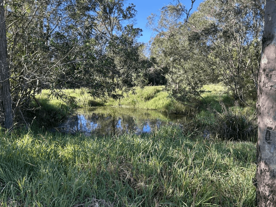 Lot 31 Arborthree Road, GLENWOOD, QLD 4570