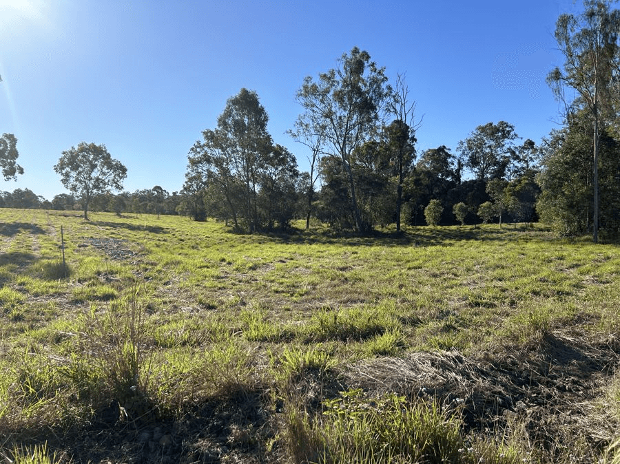 Lot 31 Arborthree Road, GLENWOOD, QLD 4570