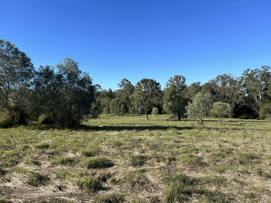 Lot 31 Arborthree Road, GLENWOOD, QLD 4570