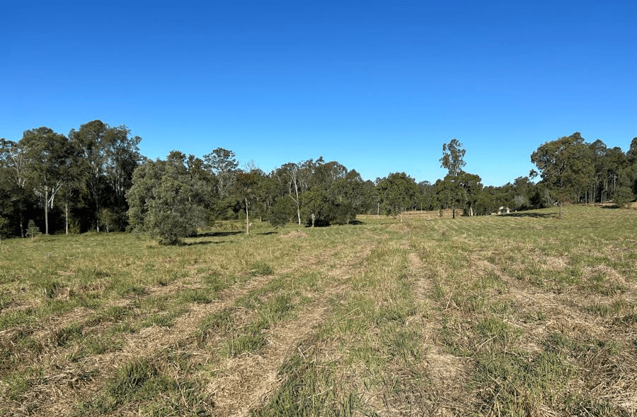 Lot 31 Arborthree Road, GLENWOOD, QLD 4570