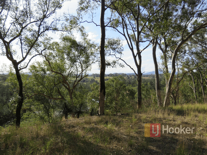 98 Mungay Flat Road, WILLAWARRIN, NSW 2440