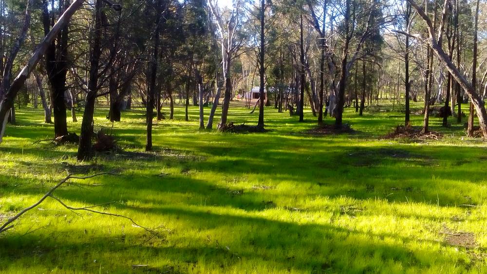 237 East Minalty Lane, CURRA CREEK, NSW 2820