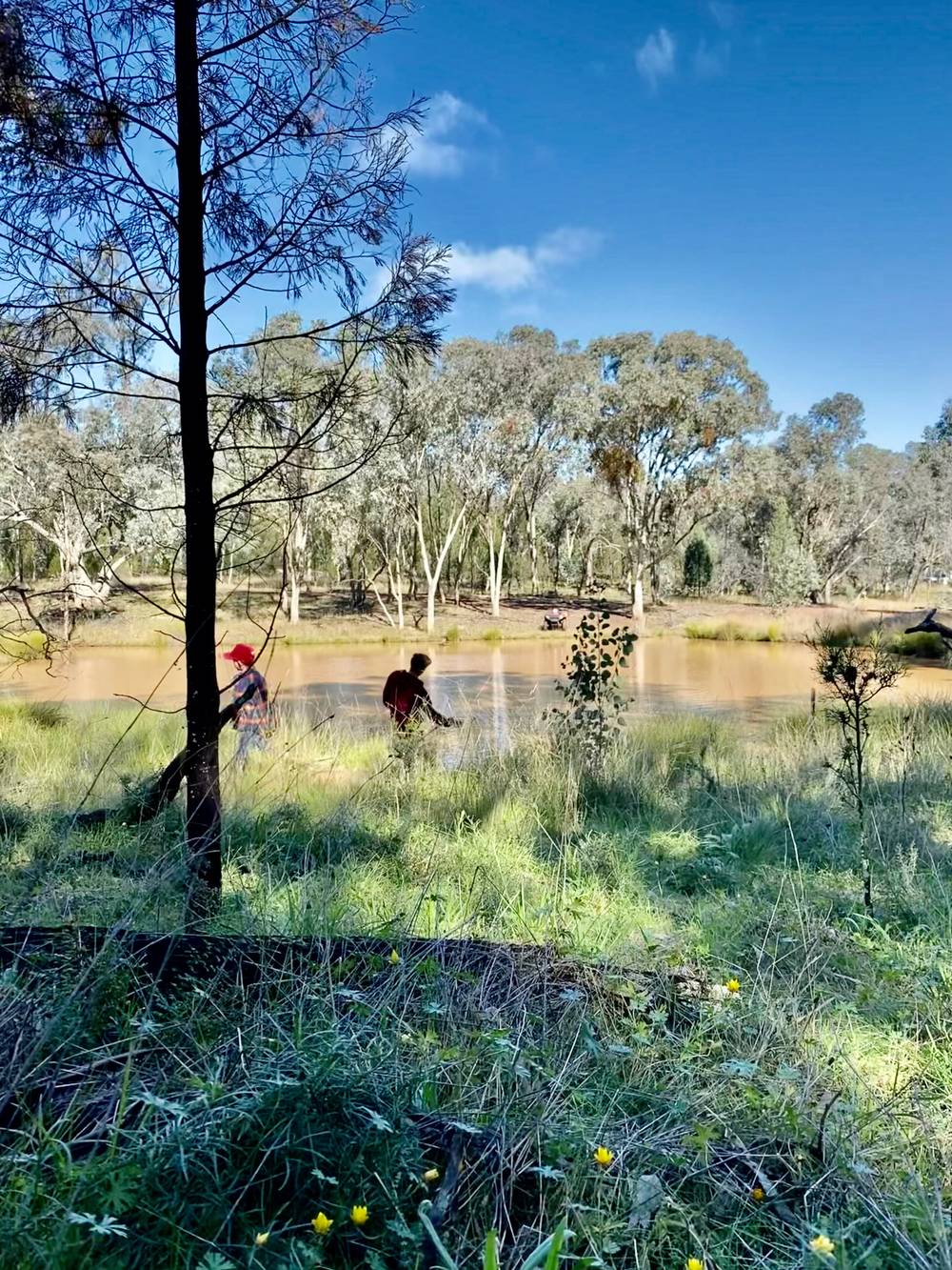 237 East Minalty Lane, CURRA CREEK, NSW 2820
