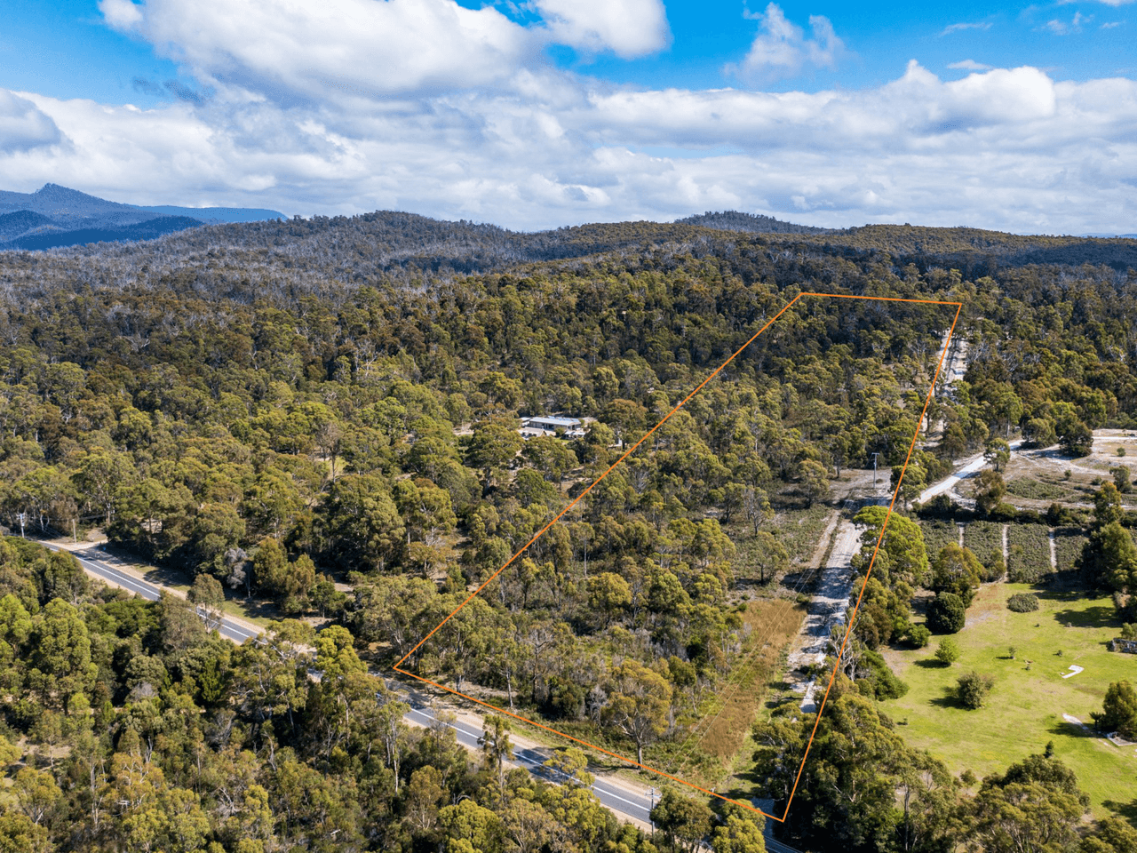 26754/1 Tasman Highway, SCAMANDER, TAS 7215