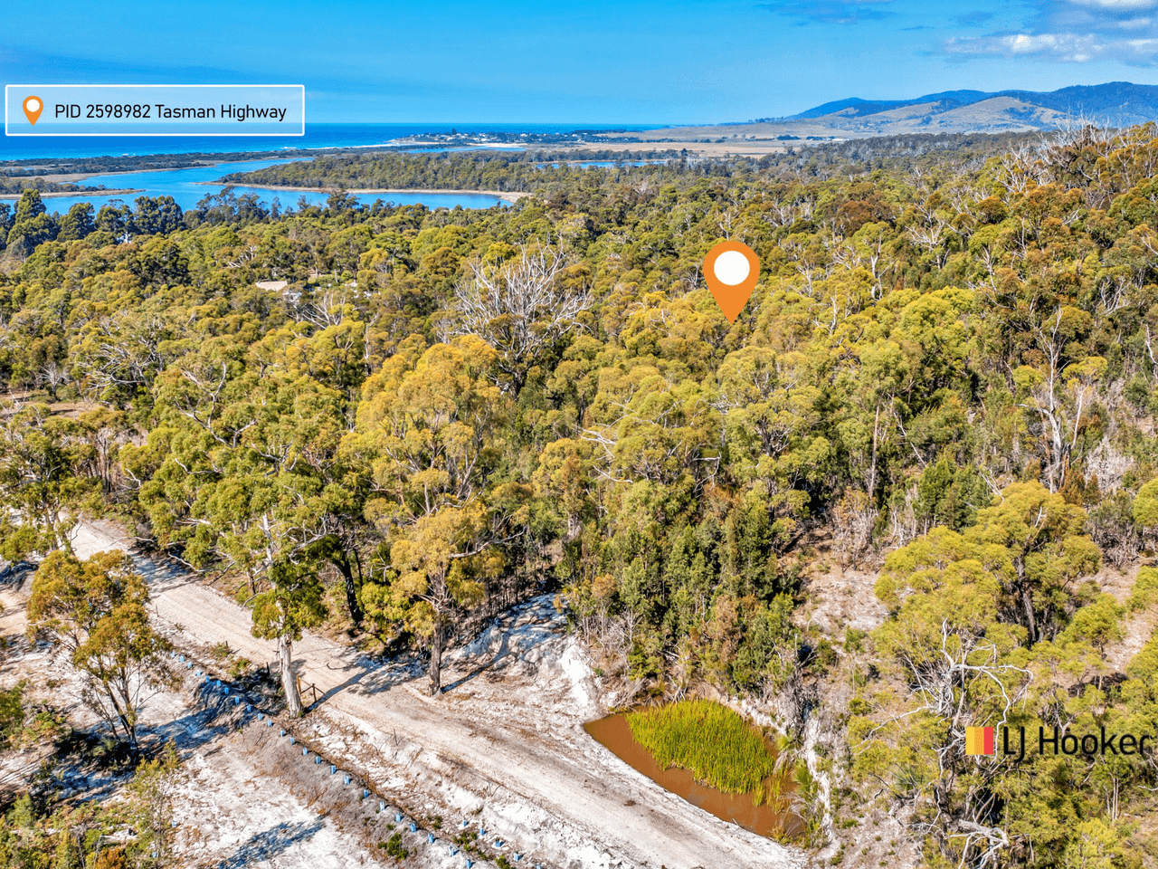 26754/1 Tasman Highway, SCAMANDER, TAS 7215