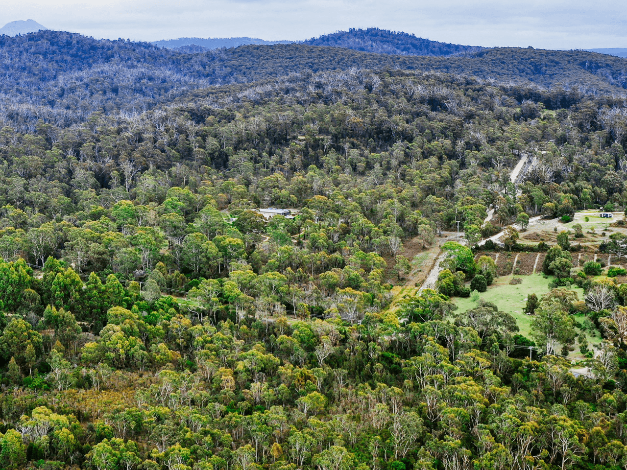 26754/1 Tasman Highway, SCAMANDER, TAS 7215