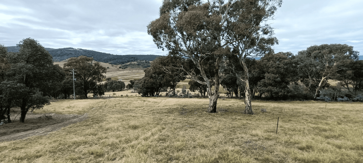 35 Yaouk Road, Shannons Flat, NSW 2630