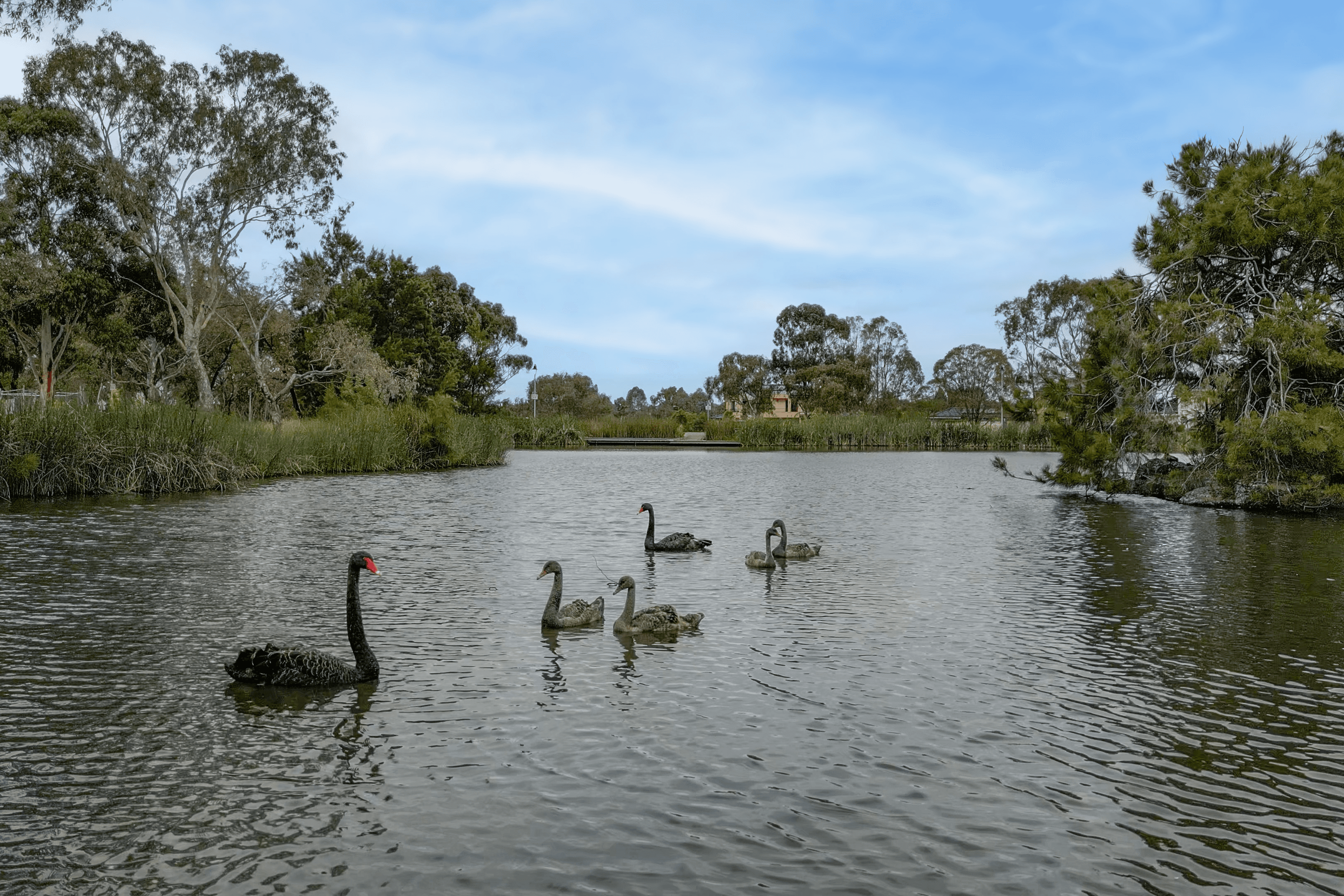 15 Waterview Drive, Cairnlea, VIC 3023