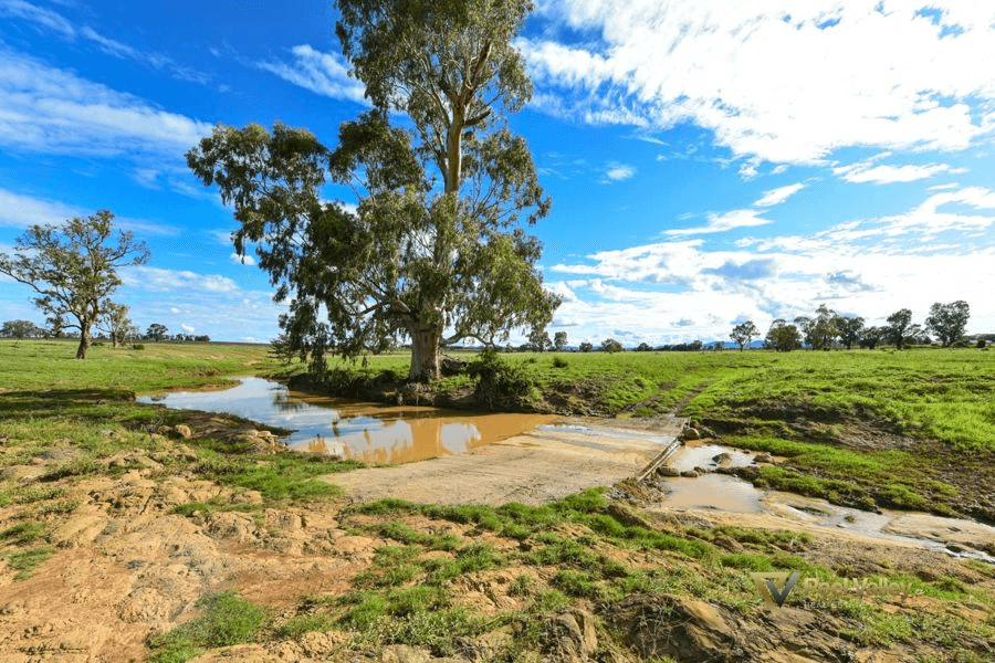 821 Wallamore Road, WALLAMORE, NSW 2340