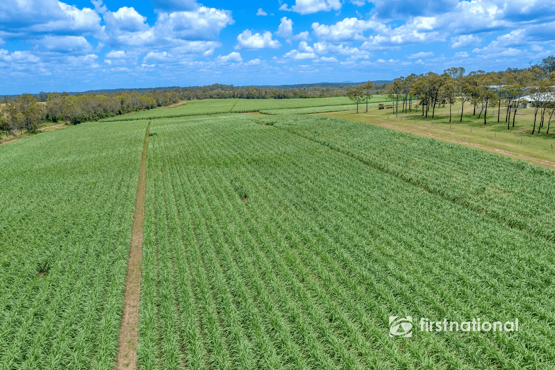 216 Snake Creek Road, Bungadoo, QLD 4671