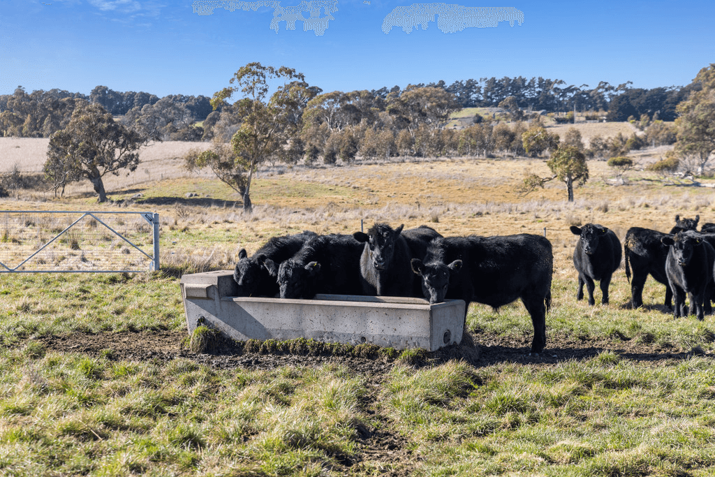 2258  Woodhouselee Road,, GOULBURN, NSW 2580