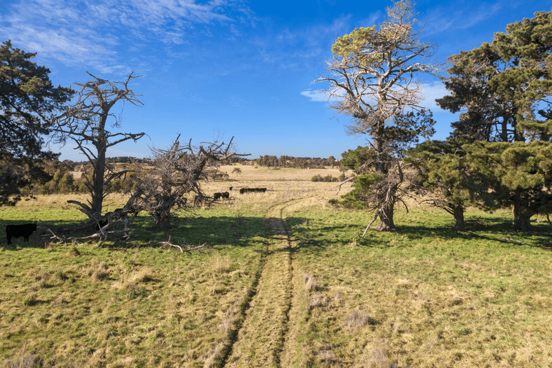 2258  Woodhouselee Road,, GOULBURN, NSW 2580