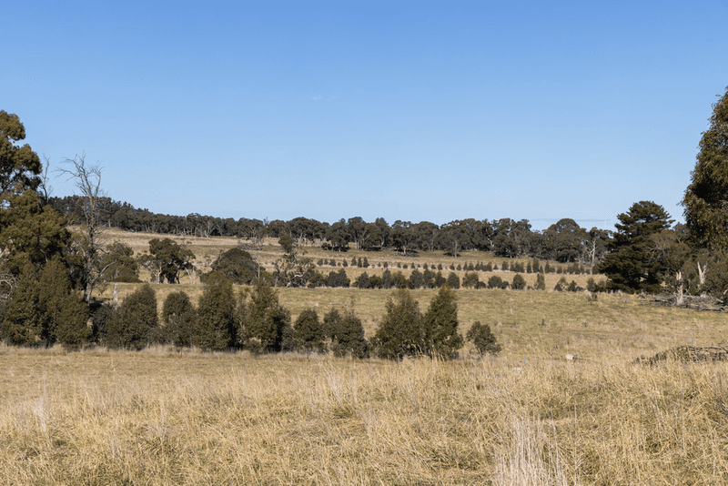 2258  Woodhouselee Road,, GOULBURN, NSW 2580