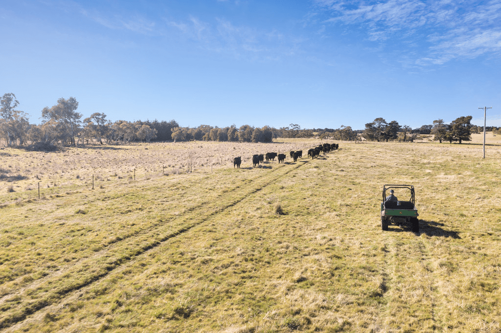 2258  Woodhouselee Road,, GOULBURN, NSW 2580