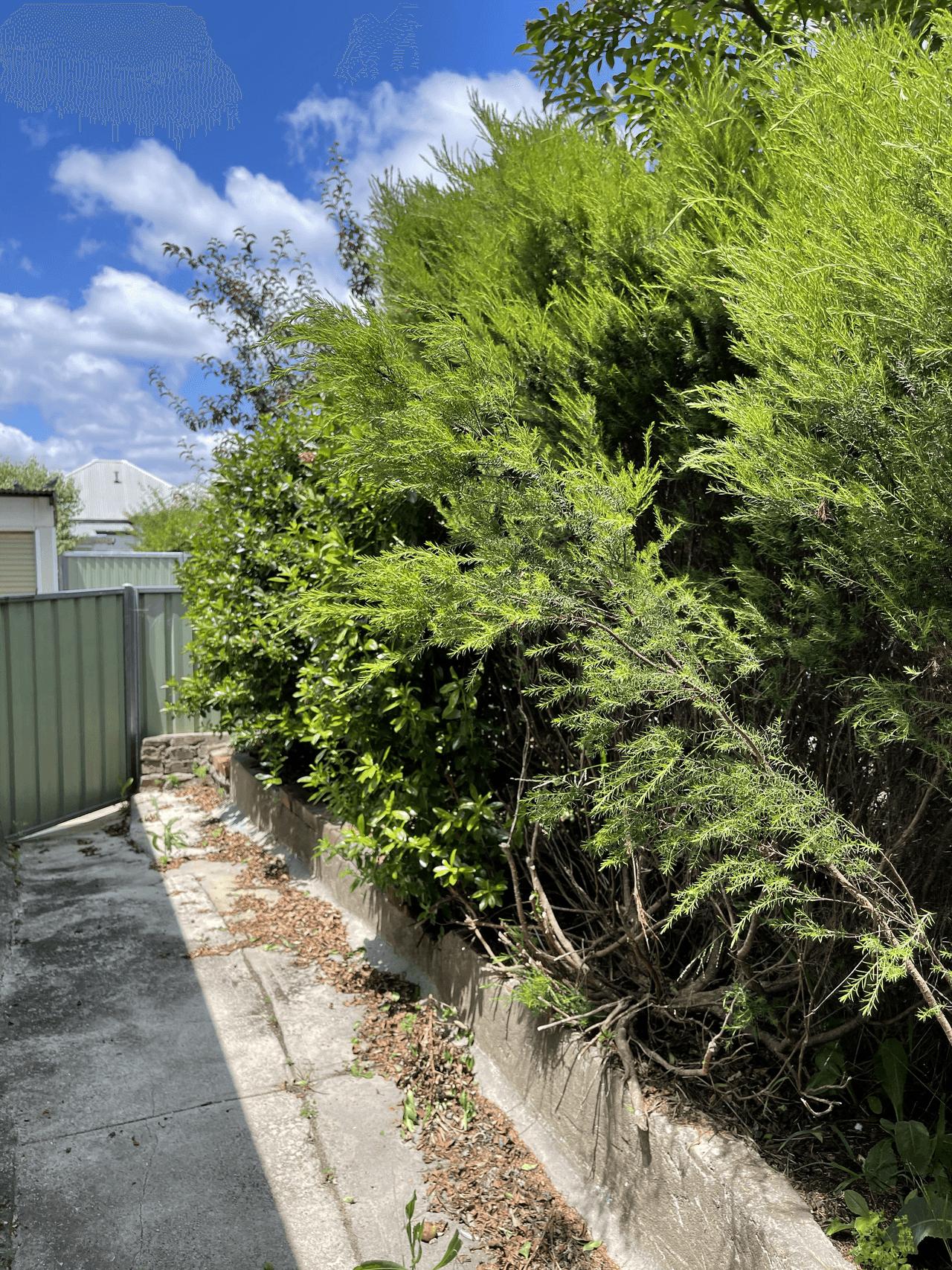 33 Hayley Street, LITHGOW, NSW 2790