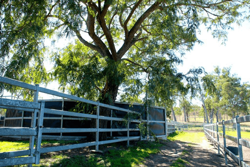 501 Christmas Creek Road, TABOOBA, QLD 4285