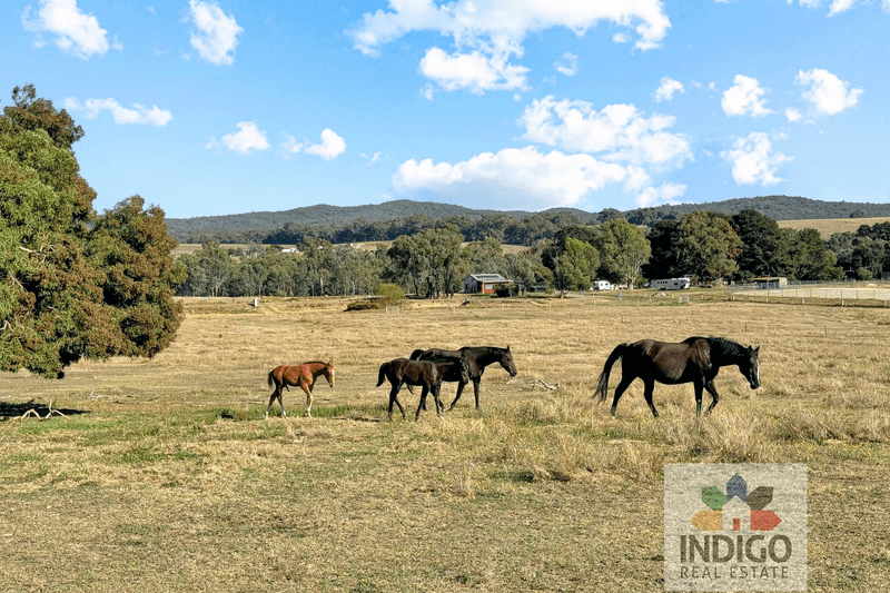 135 Reids Way, Wooragee, VIC 3747