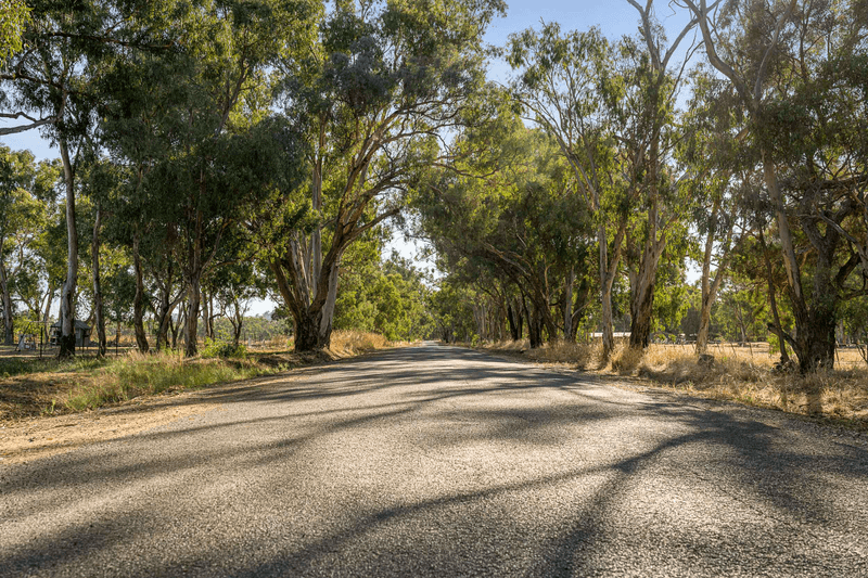 36 Pomegranate Drive, JINDERA, NSW 2642