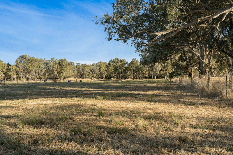 36 Pomegranate Drive, JINDERA, NSW 2642