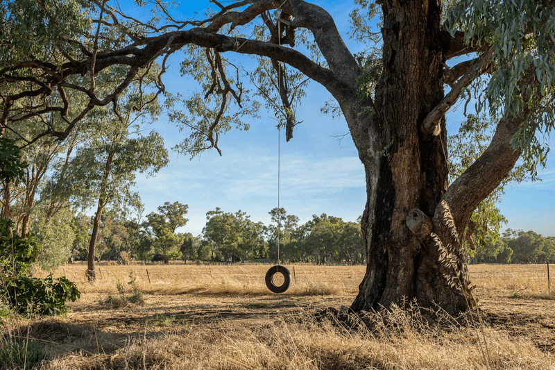 36 Pomegranate Drive, JINDERA, NSW 2642