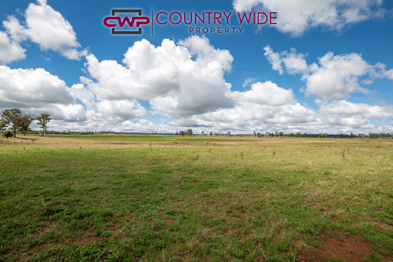 109 Baldersleigh Road, GUYRA, NSW 2365