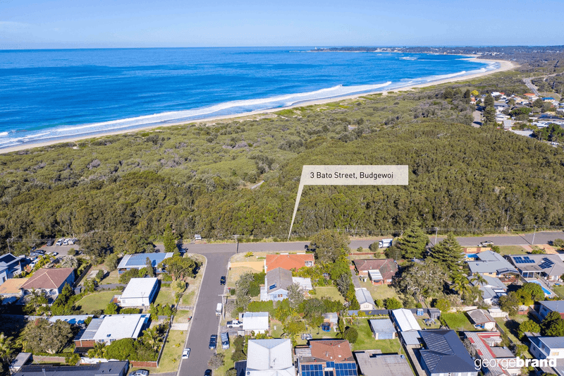 3 Bato Street, BUDGEWOI, NSW 2262