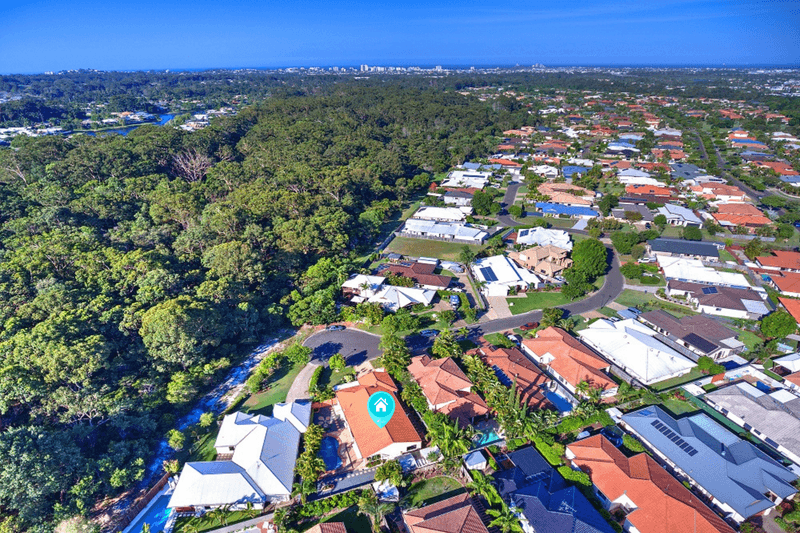 17 Petrale Court, MOUNTAIN CREEK, QLD 4557