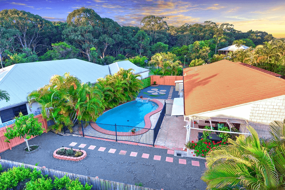 17 Petrale Court, MOUNTAIN CREEK, QLD 4557