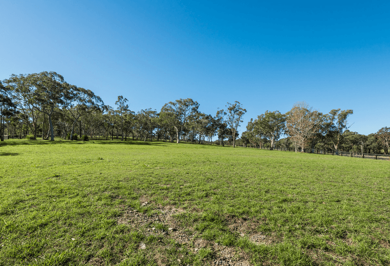 131 Morgans Road, Mount White, NSW 2250