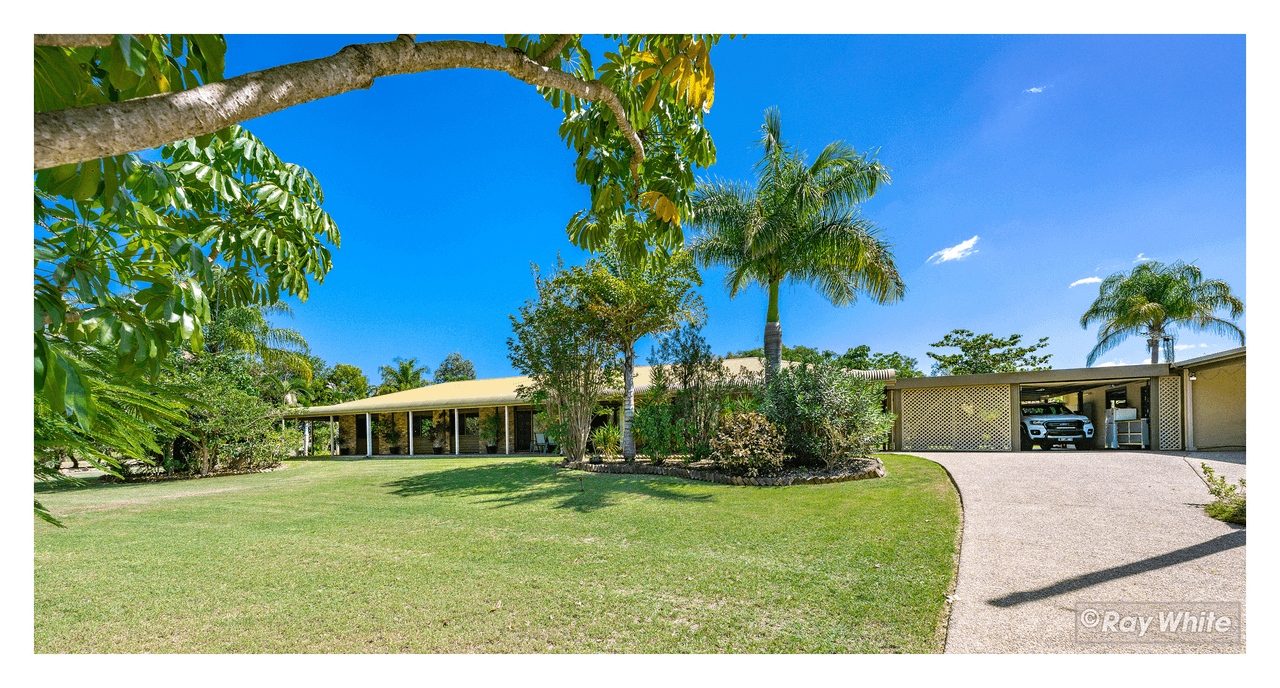 11 Bunya Road, ROCKYVIEW, QLD 4701