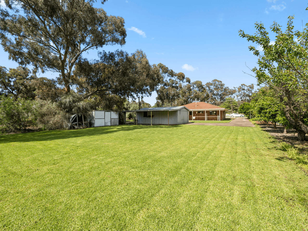 10 Withers Street, LONGWOOD, VIC 3665