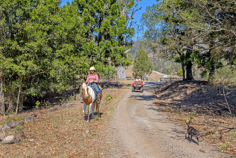 498 Sarabah Road, CANUNGRA, QLD 4275