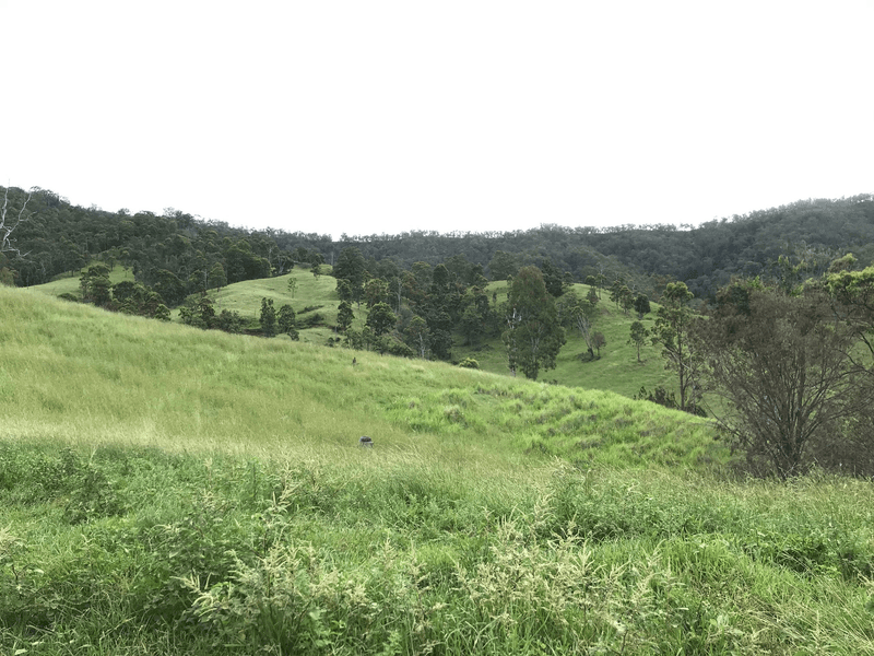 498 Sarabah Road, CANUNGRA, QLD 4275