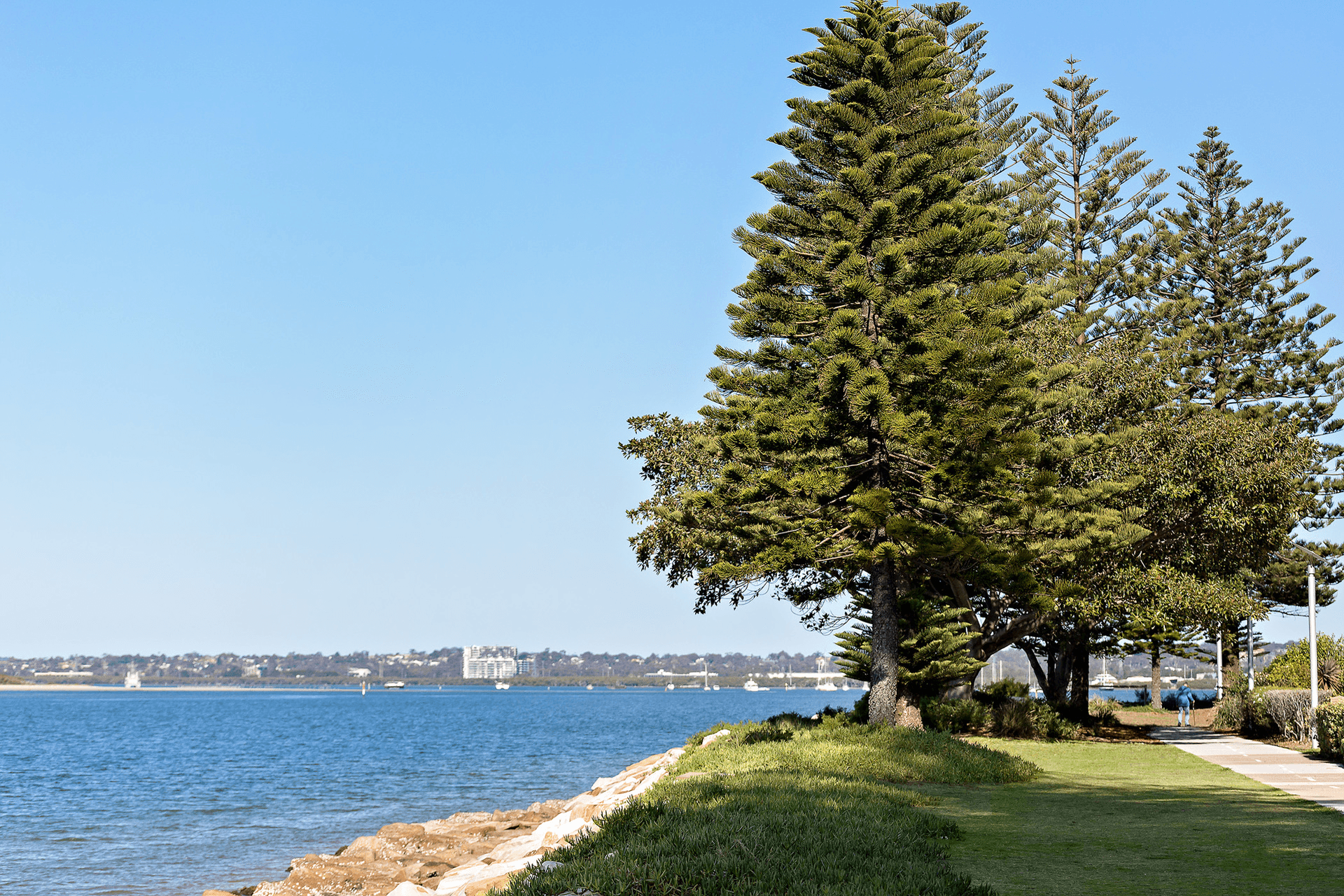 38 Primrose Avenue, Sandringham, NSW 2219