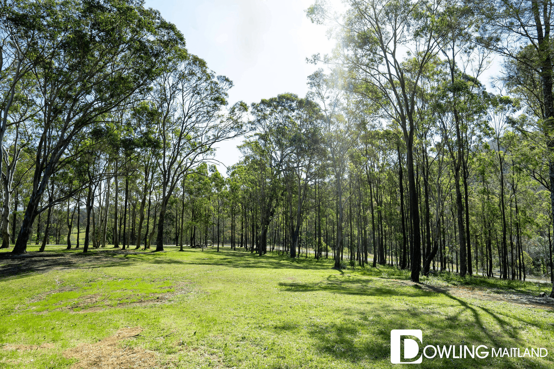 30 Forest Road, Duns Creek, NSW 2321