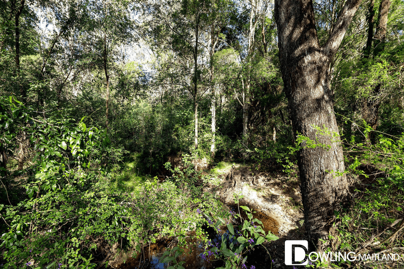 30 Forest Road, Duns Creek, NSW 2321