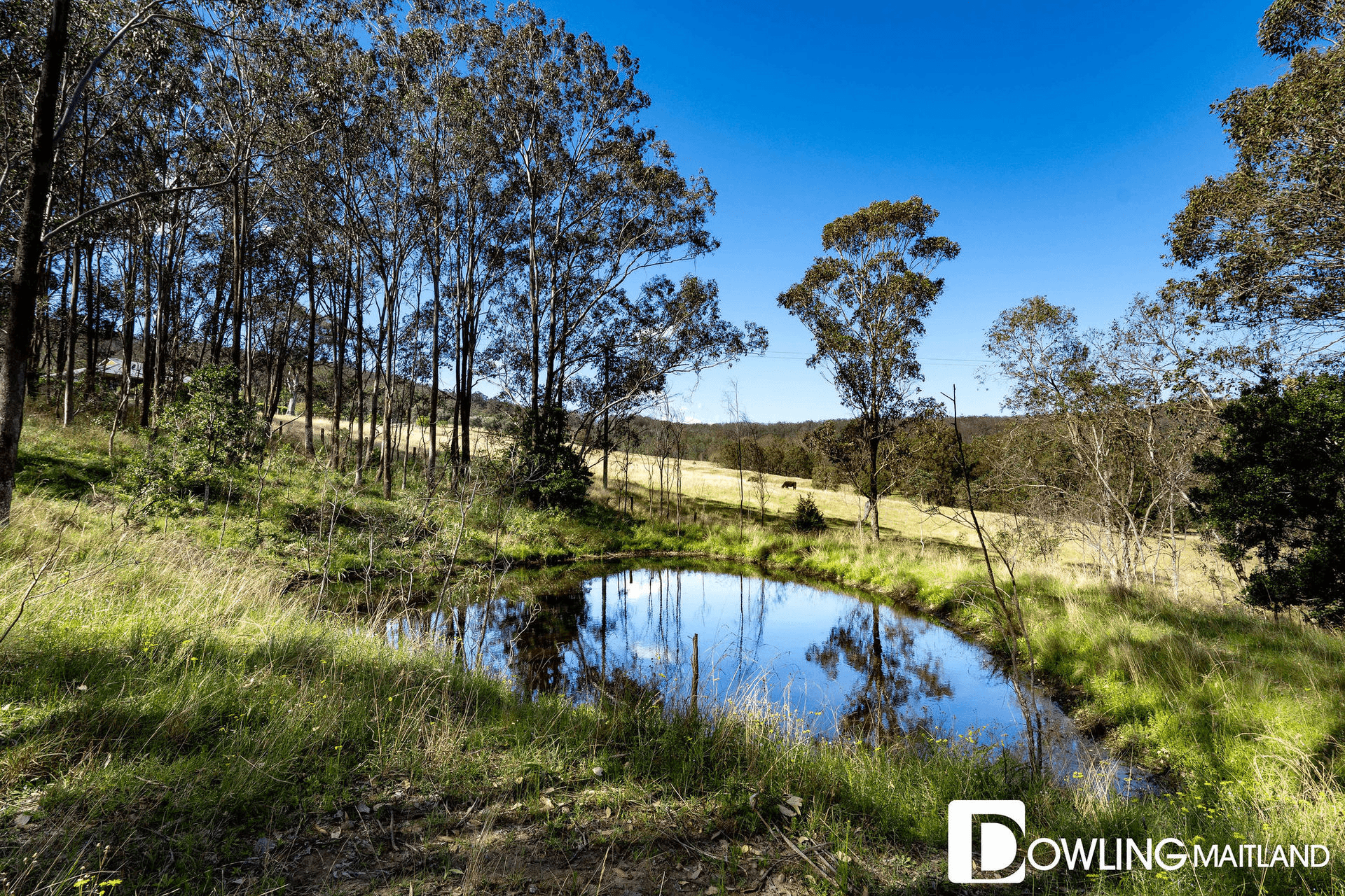 30 Forest Road, Duns Creek, NSW 2321