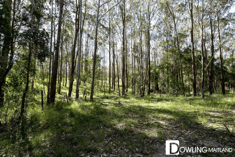 30 Forest Road, Duns Creek, NSW 2321