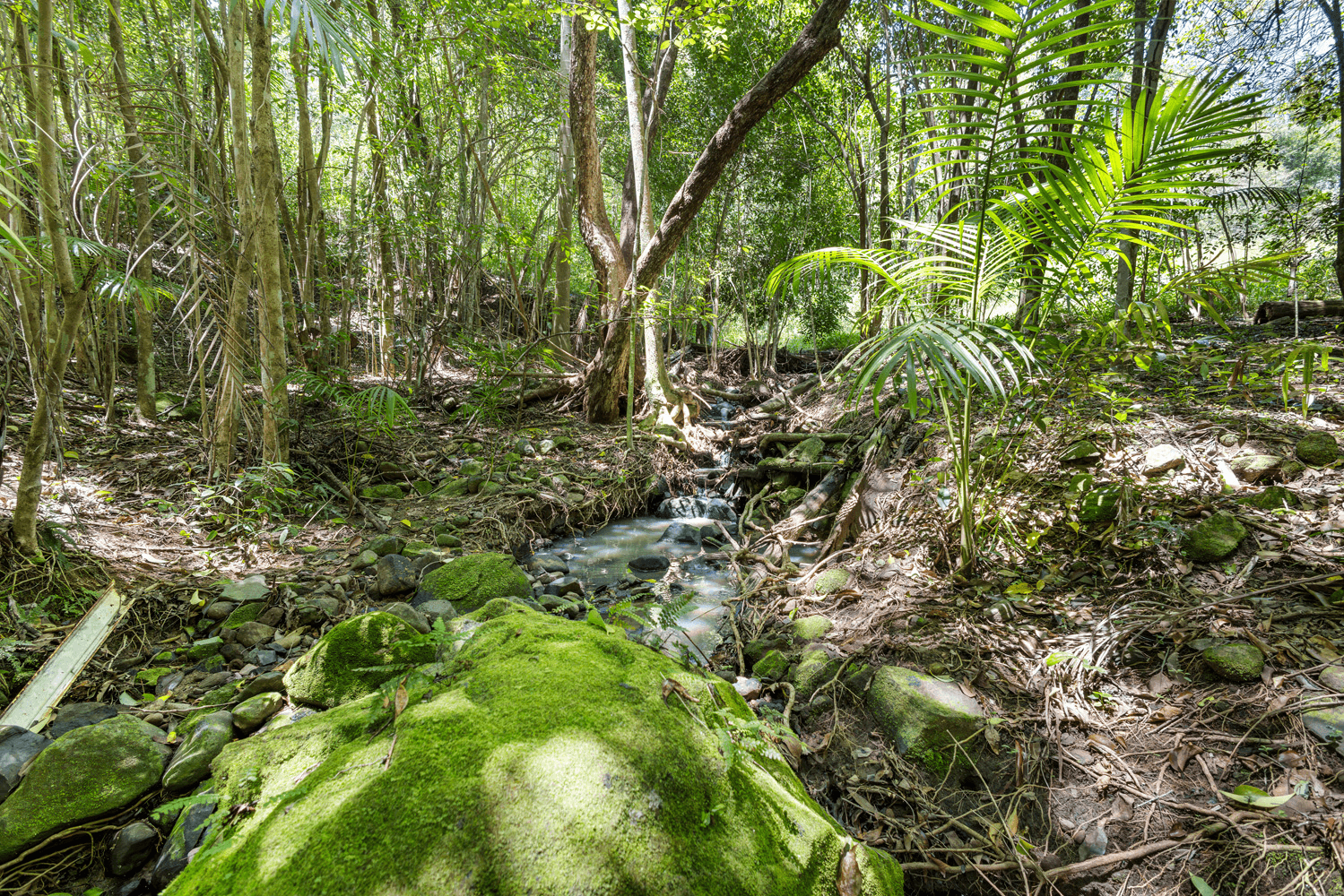 16 Glenkeith Place, EUDLO, QLD 4554