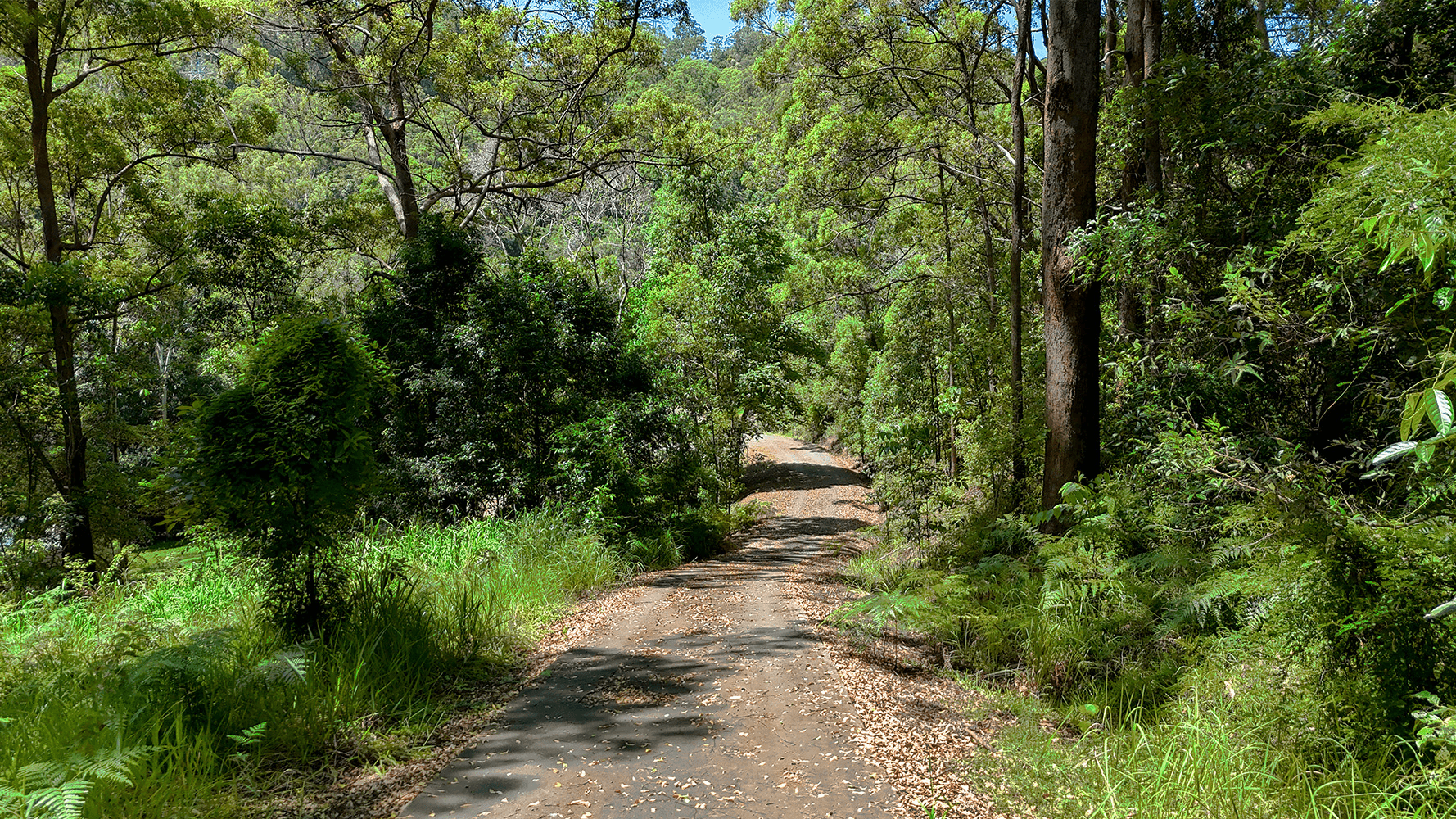 16 Glenkeith Place, EUDLO, QLD 4554
