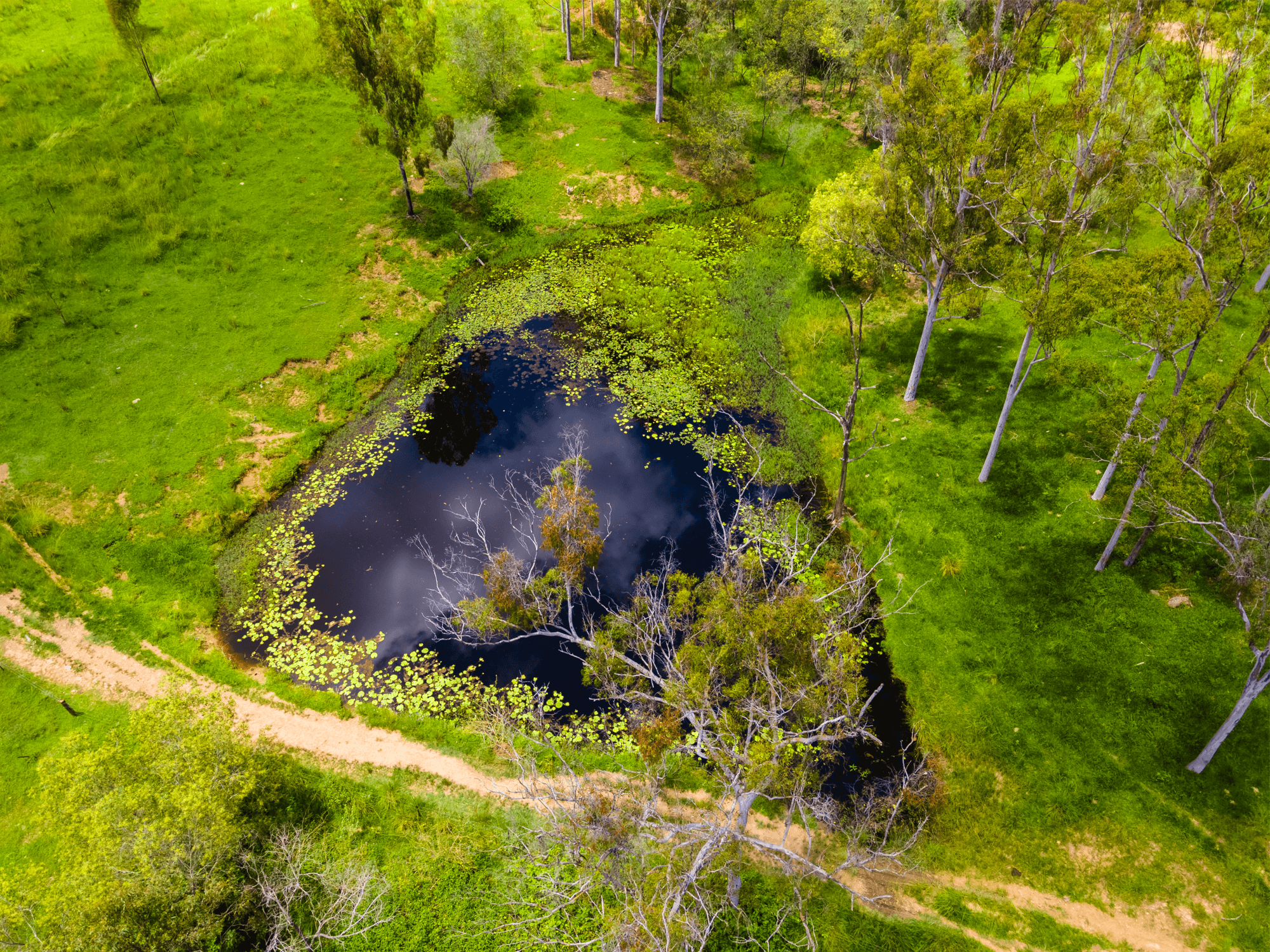 10 Moolboolaman Road, MOOLBOOLAMAN, QLD 4671