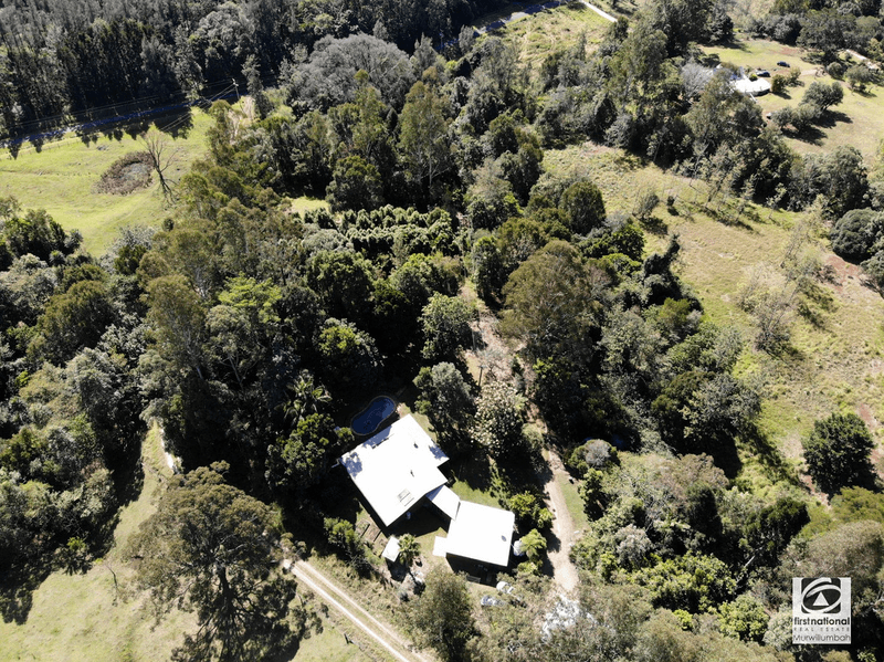 37 Kirbys Road, Limpinwood, NSW 2484