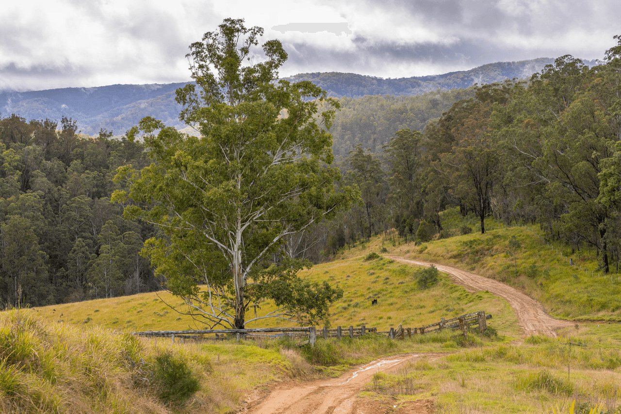 214 Eaglehawk Trail, YARROWITCH, NSW 2354