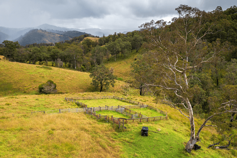 214 Eaglehawk Trail, YARROWITCH, NSW 2354