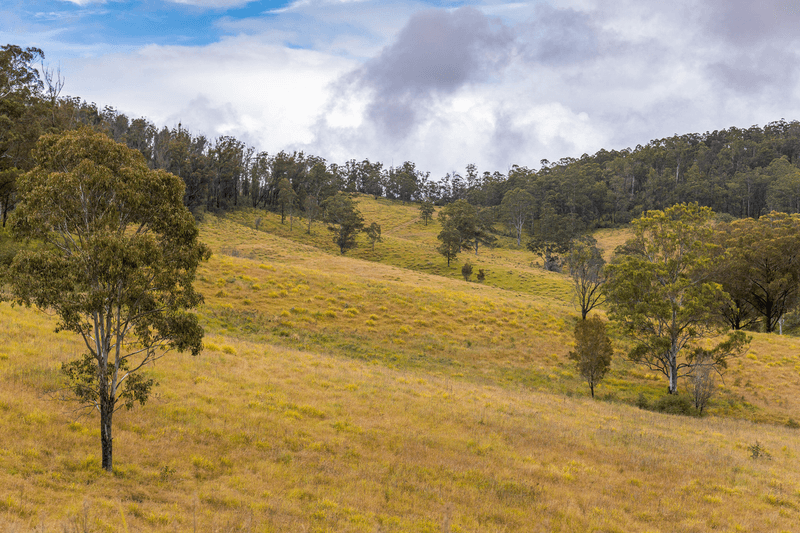 214 Eaglehawk Trail, YARROWITCH, NSW 2354